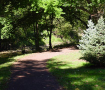 Tookany Creek Park